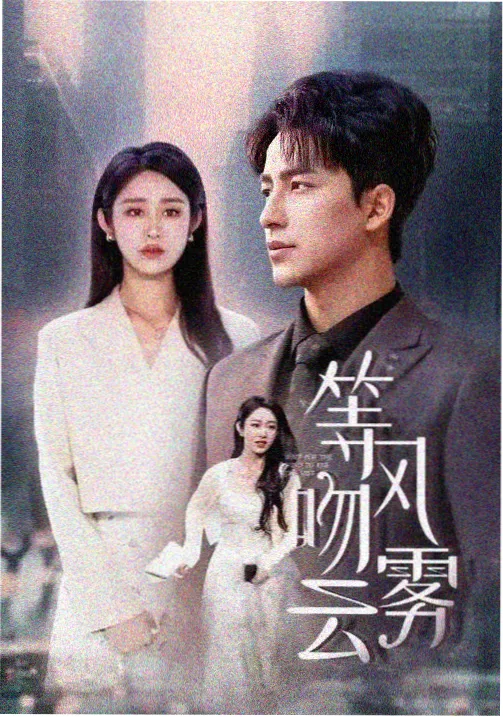 街头追缉题材好看的生活片动作电影条目图